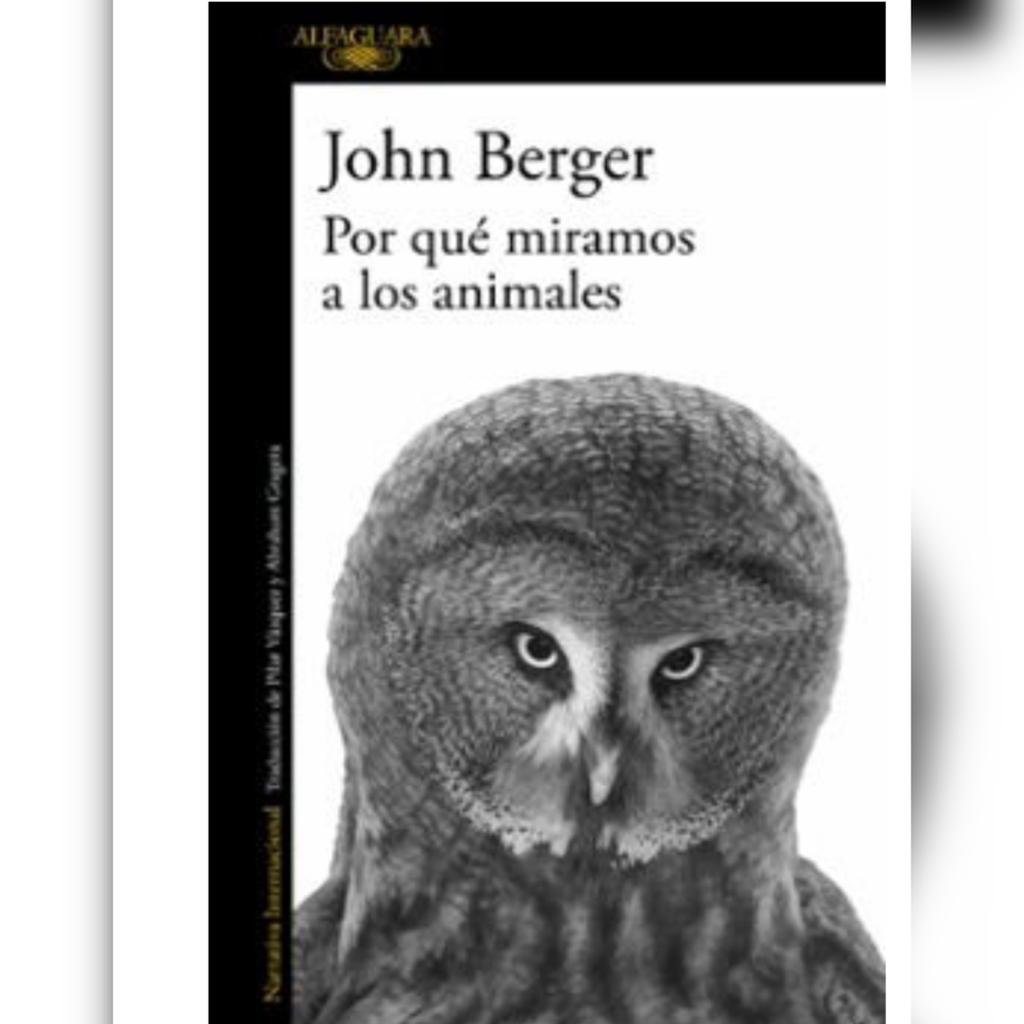 POR QUE MIRAMOS A LOS ANIMALES